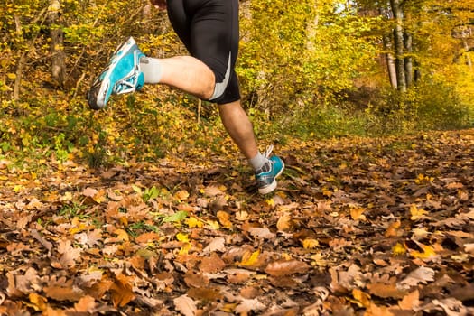 Man,45,jogging in the woods,autumn