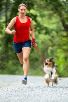 young woman jogging with dog,Shelti (Shetland Sheepdog)