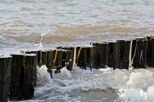 Waves on the beach of the Baltic Sea