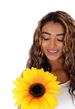A happy smiling teen girl with long curly brunette hair looking at the .sunflower she holds in her hand, isolated for white background.