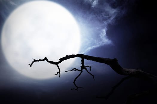 Scary night scene with branch, full moon and dark clouds for halloween background