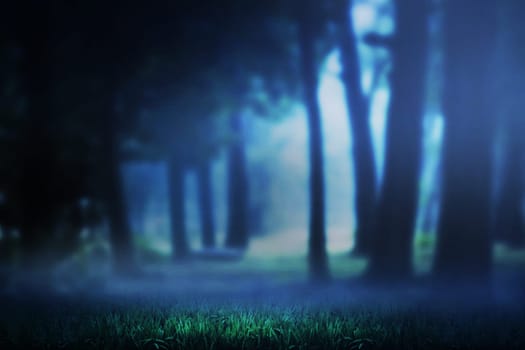 Dark forest and mist on the night