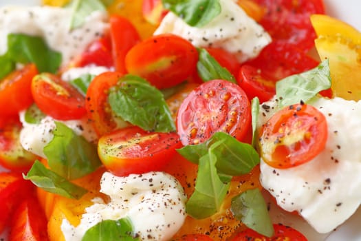 Cherry tomatoes, fresh basil, burrata cheese and black pepper in a fresh summer salad