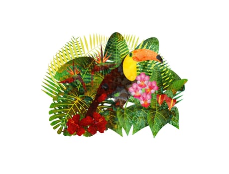 Tropical Rain Forest  Jungle Plants with Leaves Flowers and Toucan Bird Grunge Texture Isolated on White Background Color Illustration