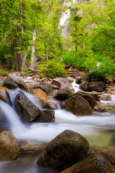 The creek below Shannon Falls in Provincial Park in Squamish Canada