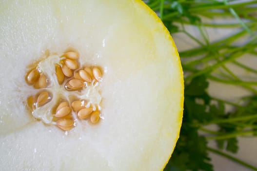 A half of Galia melon over parsley background. Closeup
