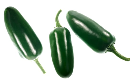 The Jalapeño is a medium sized chili pepper pod type cultivar of the species.Capsicum annuum. It is a medium hot chili, occasionally mild, originated from Mexico..