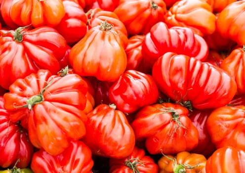 Oxheart tomato is a large beefsteak type tomato, resembling an ox heart, which is a sweet pink red fruit low in seeds