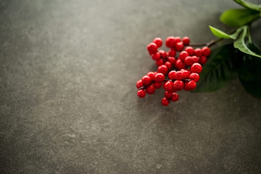 Red flower on dark background with copy space.