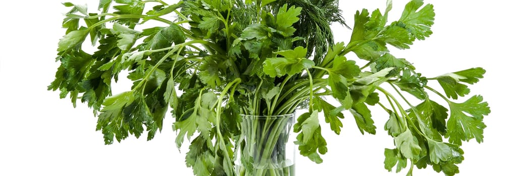 A bunch of parsley and dill in a transparent glass on a white background is isolated.