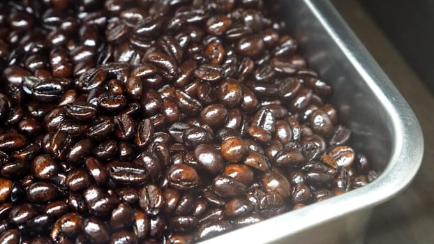 Many coffee beans from excellent source around the World in silver metal tray which special hand made roasted for barista bring a good aroma taste of freshness to their customer.