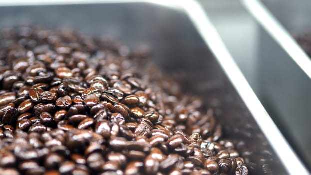 Many coffee beans from excellent source around the World in silver metal tray which special hand made roasted for barista bring a good aroma taste of freshness to their customer.