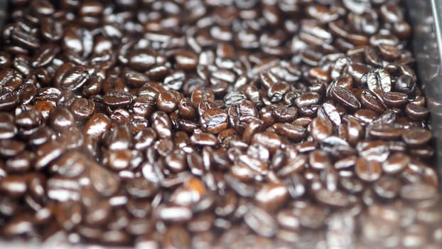 Many coffee beans from excellent source around the World in silver metal tray which special hand made roasted for barista bring a good aroma taste of freshness to their customer.