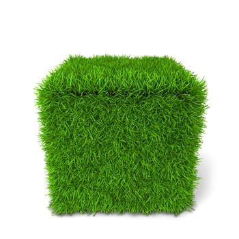 Green grass cube. 3d illustration isolated on white background