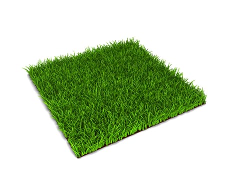 Green grass lawn. 3d illustration isolated on white background