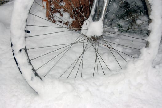 Winter in garden with bicycle