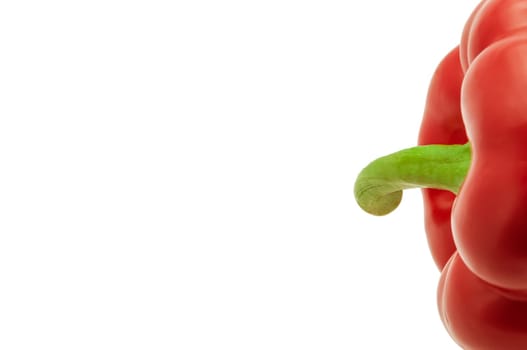 one sweet bell pepper isolated on white background