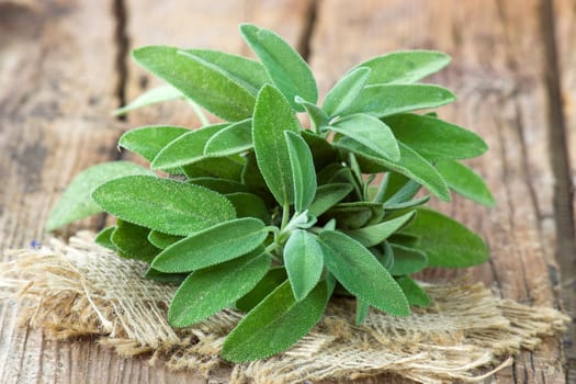 fresh sage on wooden background