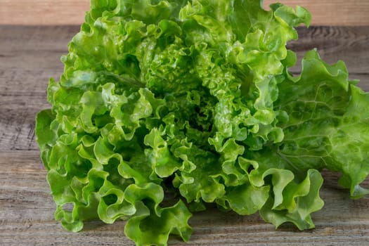 Fresh salad leaves, on a wooden background