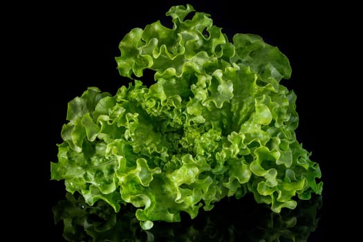 Fresh green salad on a dark backgroundgreen