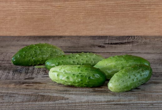 Fresh green cucumbers on a wooden background