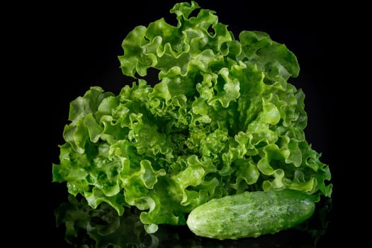 Green salad and fresh cucumbers on a dark background