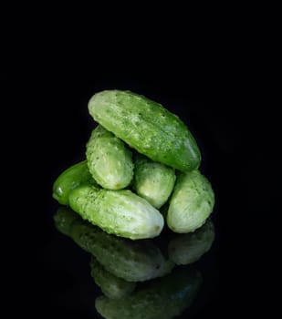 Fresh green cucumber on a dark background