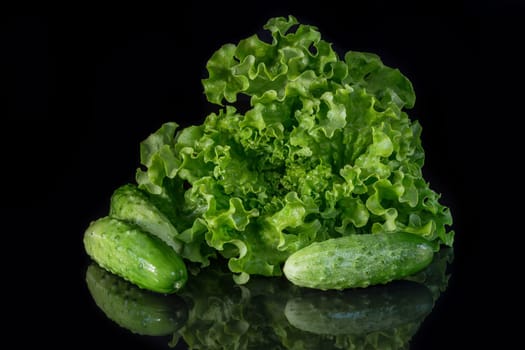 Green salad and fresh cucumbers on a dark background