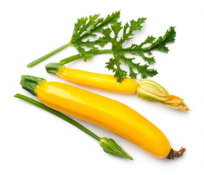 Yellow zucchini with leaf and flower isolated on white background Top view