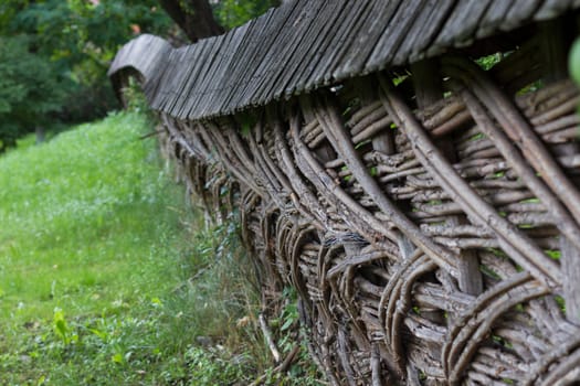 Old Woven Tree Brach Garden Fence
