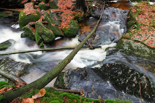 Brook in the autumn forest, Jedlova creek, Jizera Mountains, Czech Republic