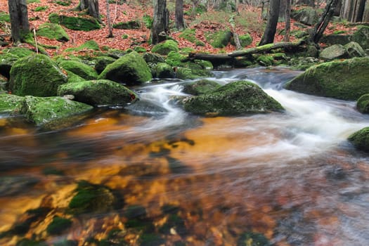 Rapids on Jedlova Creek, Jizera Mountains,  Czech Republic