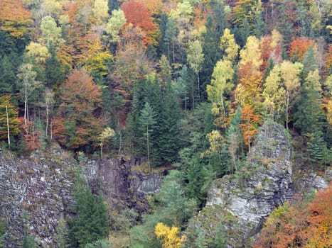Rocks in the autumn forest, Bohemian Switzerland, Czech Republic