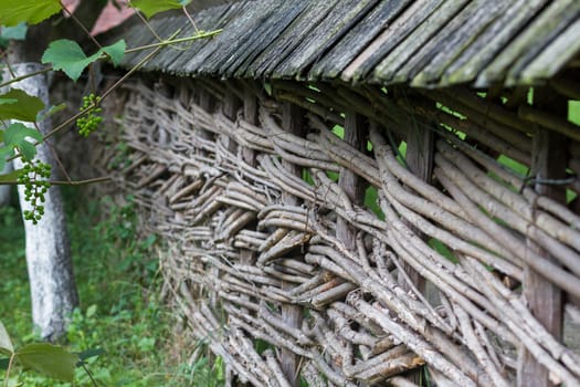 Old Tree Branch Garden Fence