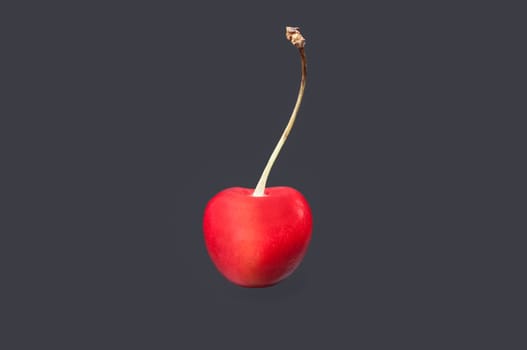 Ripe bright cherry on a gray background.