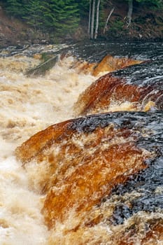 Jumbled Waters on a Flooded Lower Tahquamenon Falls in Tahquamenon Falls State Park in Michigan