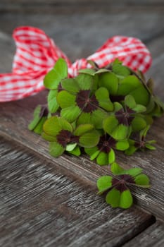 Little bouquet of lucky clovers on rustic wooden background