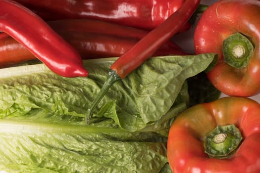 Organic Red Chili, Snack and Bell Pepper and Green Romaine lettuce, Close up and background