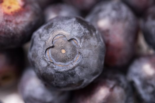 Delicious organic ripe blueberry isolated on white background