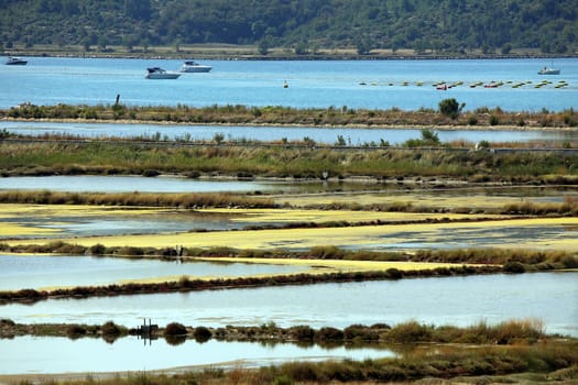 Abandoned salt fields near Portoroz in Slovenia