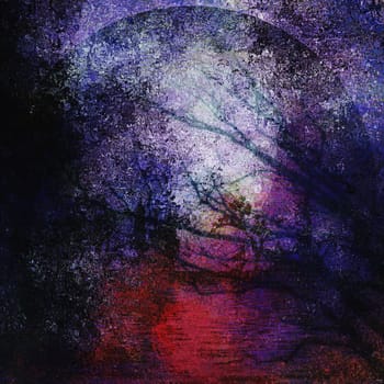 Abstract Nature. Tree branches in the night