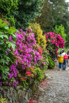 Marazion, England -  May 2018 : People walking among the St Michaels Mount island fortress gardens,  Cornwall, UK