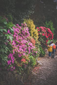 Marazion, England -  May 2018 : People walking among the St Michaels Mount island fortress gardens,  Cornwall, UK