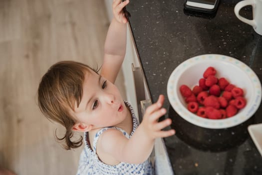 High angle view of a little girl standning in a kicthen and reaching up over the kitchen counter to grab some raspberries.
