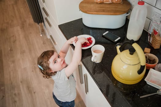 High angle view of a little girl standning in a kicthen and reaching up over the kitchen counter to grab some raspberries. The little girl is looking up at the camer as if she has been caught taking them when she shouldn't