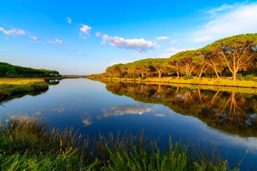 Panorama of the Osala river, a river that flows towards the sea in Cala Osalla, luxuriant Mediterranean vegetation with pines growing on the rocks, curves of the river, Italian island Sardinia