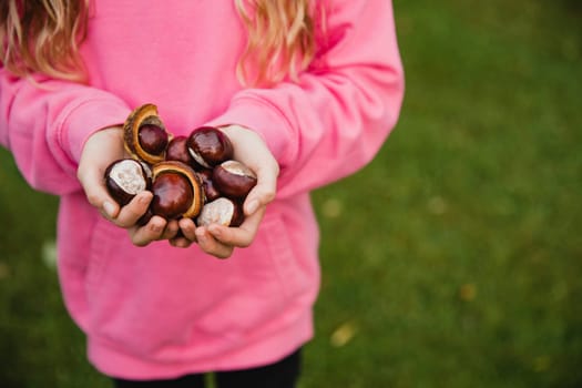 Close-up view of an unrecognisable little girl standing outside. The little girl has her hands cupped together with a handful of conkers.
