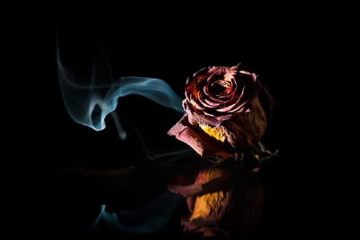 Studio shot of a dried red rose on glass plate in spot light in front of black background with smoke banner.