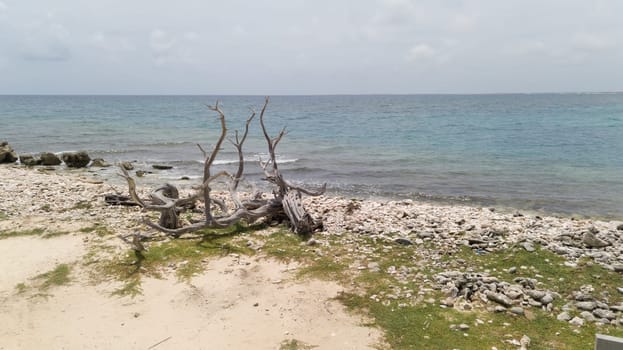 sea beach coast Bonaire island Caribbean sea aerial drone top view