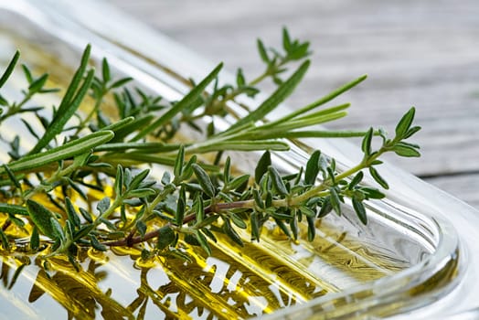 Olive oil with fresh herbs and spices close up